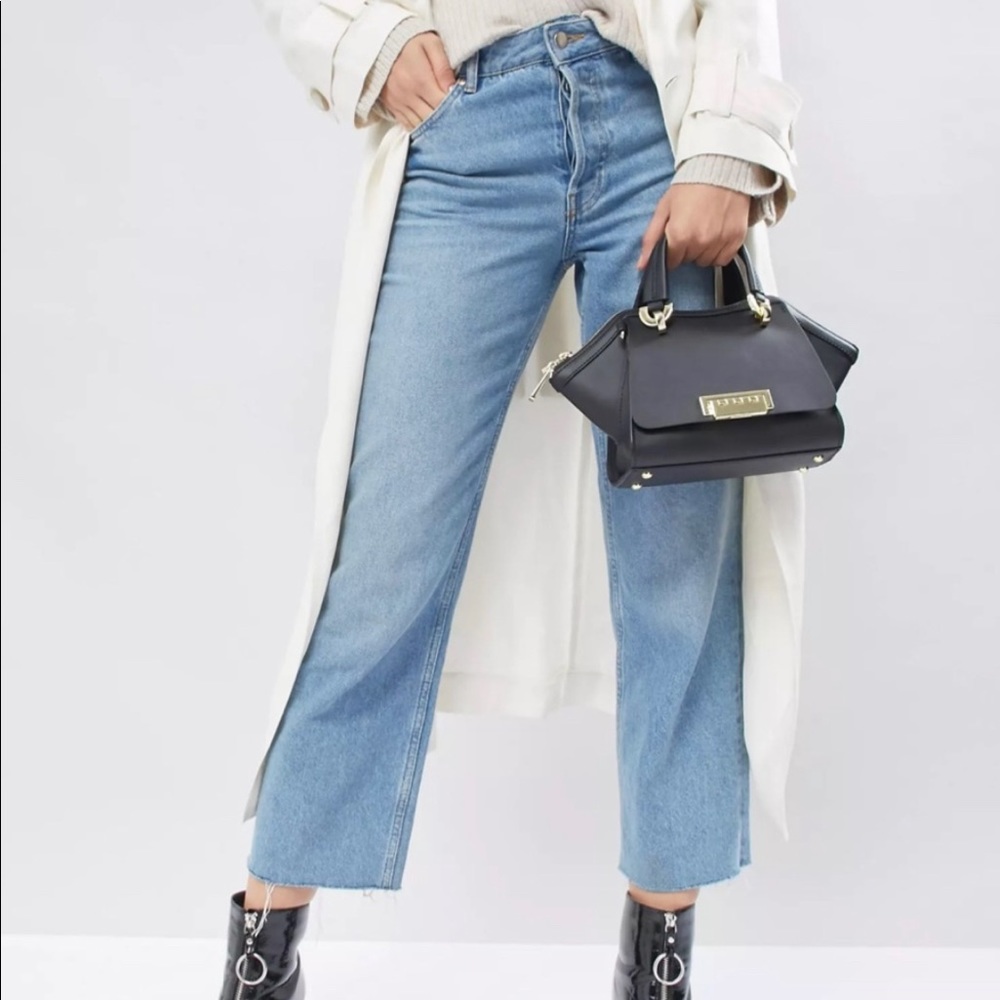 Zac Posen Earth's Iconic Crossbody
